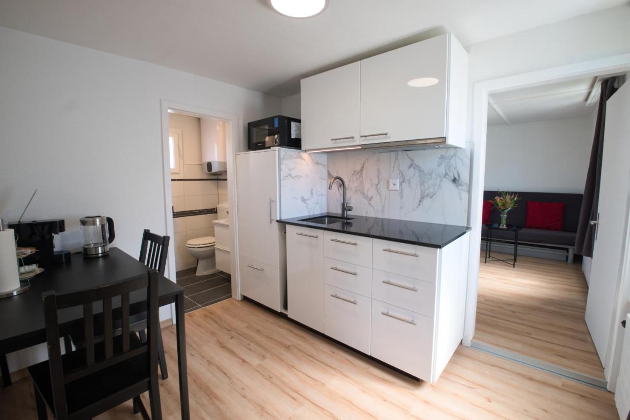 Lake Getaway Apartment With Private Entrance, Right On The Lake Constance Cycle Path, Barbecue Area, Free Wifi, Netflix And Free Bikes Salmsach ภายนอก รูปภาพ